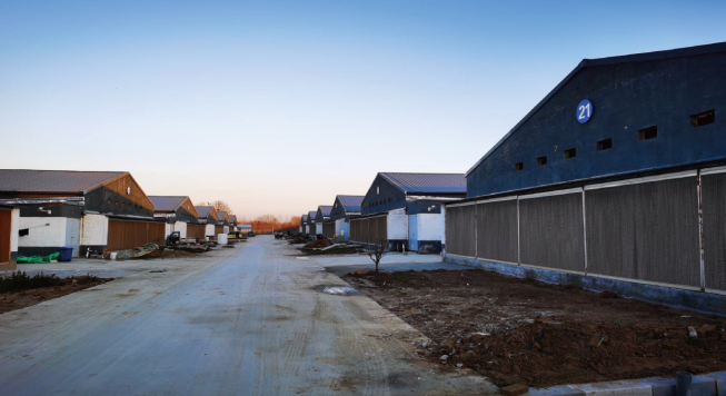 Shanxi Daxiang Smart Poultry Project