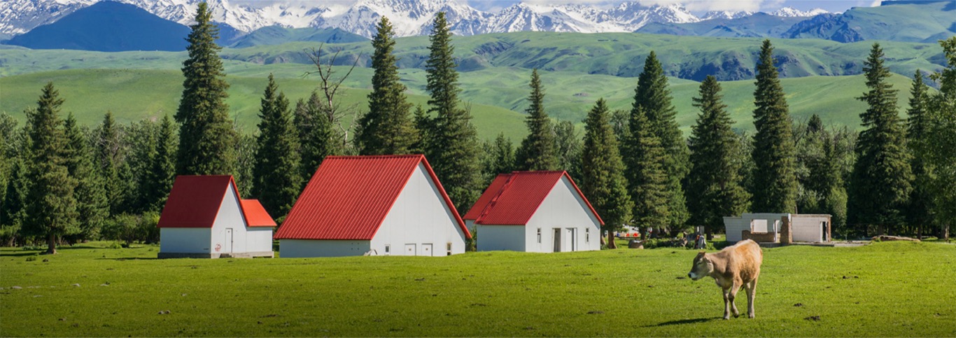 案例赏析顶部横幅