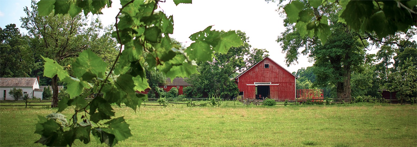 新闻资讯顶部横幅