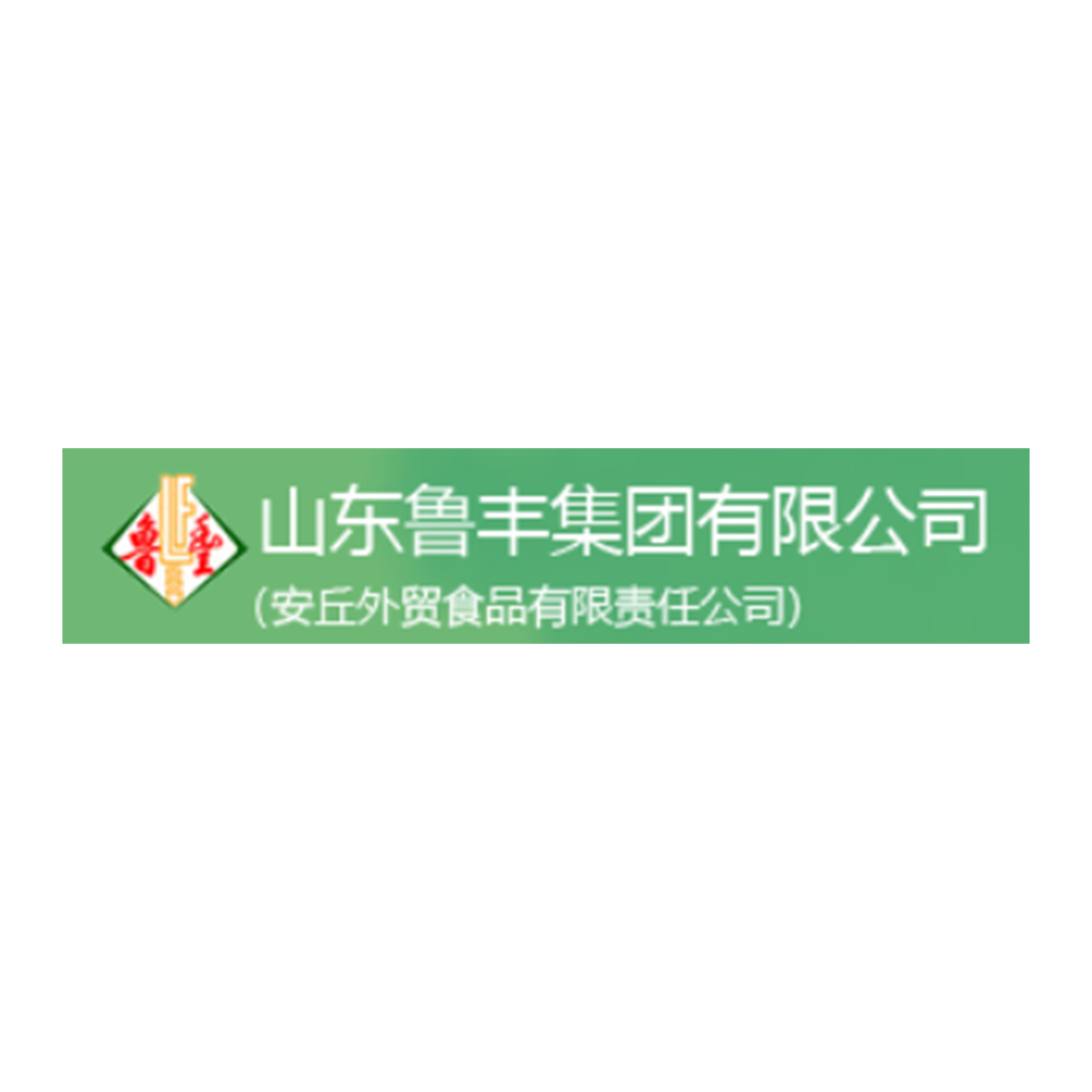 合作伙伴 Logo