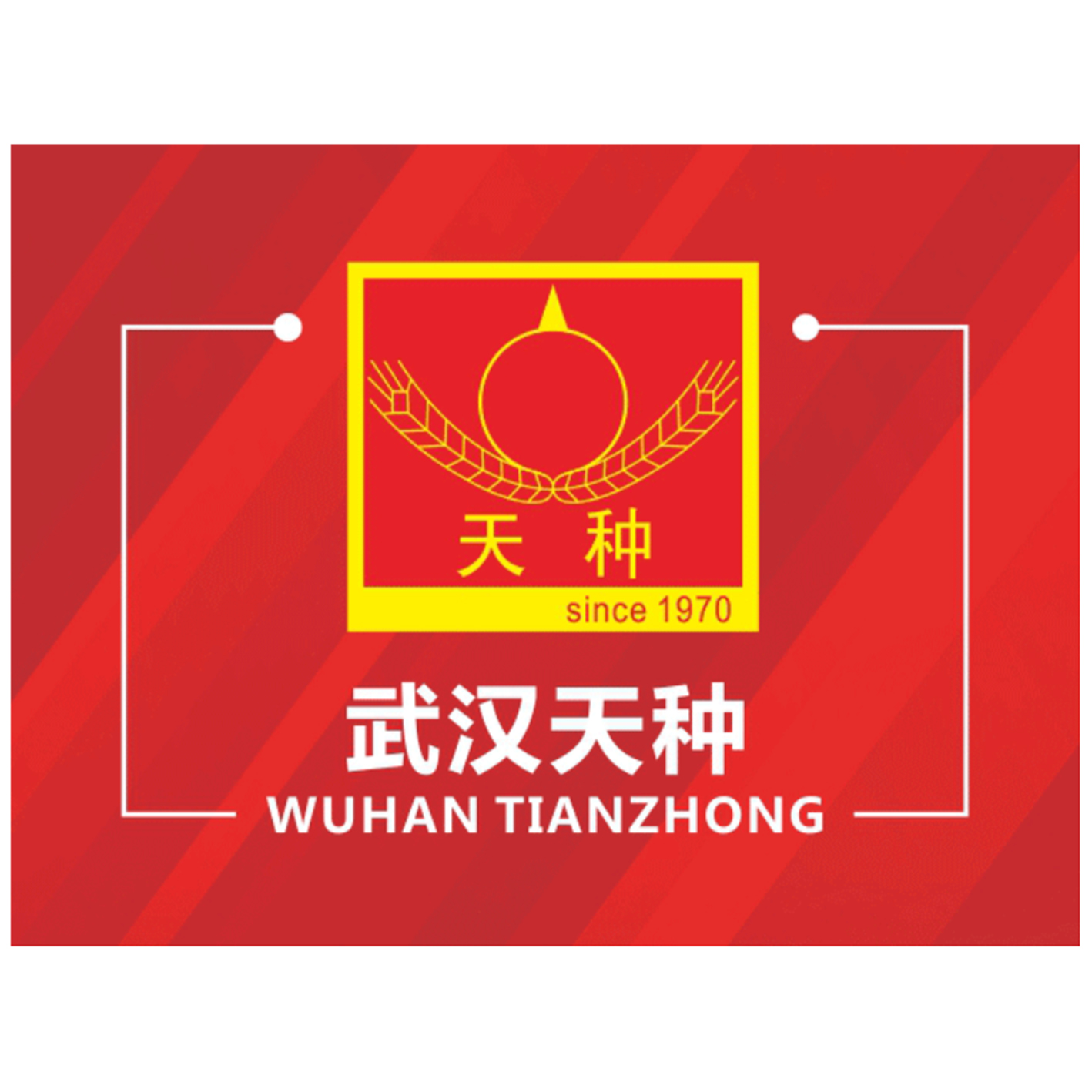 合作伙伴 Logo