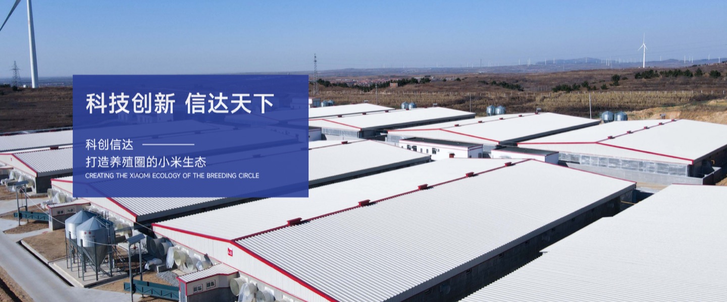 科创信达首页横幅