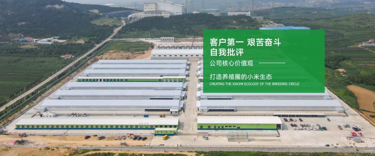 科创信达首页横幅