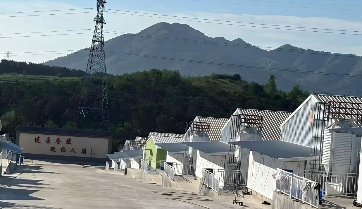 苏圩良凤种禽曾祖代育种场智慧养殖项目